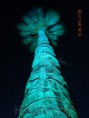 /album/%cf%86%cf%89%cf%84%ce%b9%cf%83%ce%bc%ce%bf%ce%b9/dscn1401-jpg/